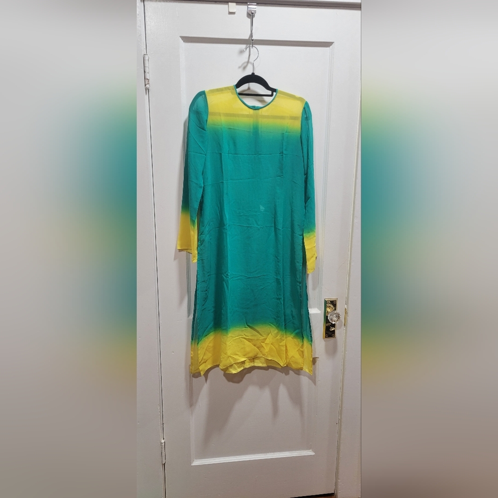 Beautiful sheer Tunic/ kurta top